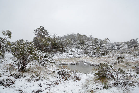 Tasmania