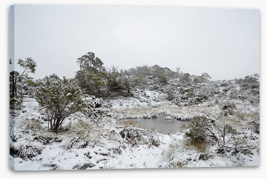 Tasmania