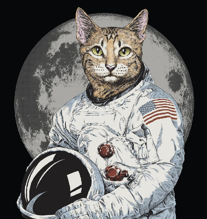 The cosmonaut cat