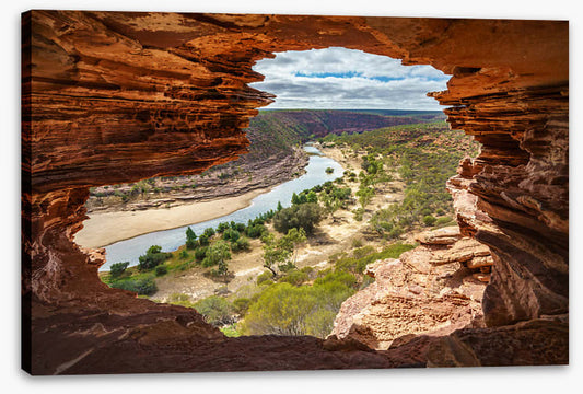 Nature's window