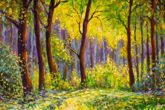 Sunshine in the glade