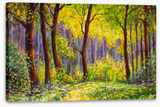 Sunshine in the glade