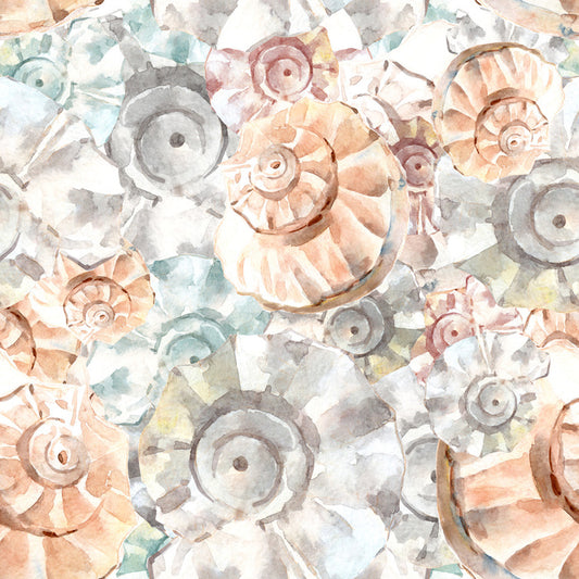As soft as seashells