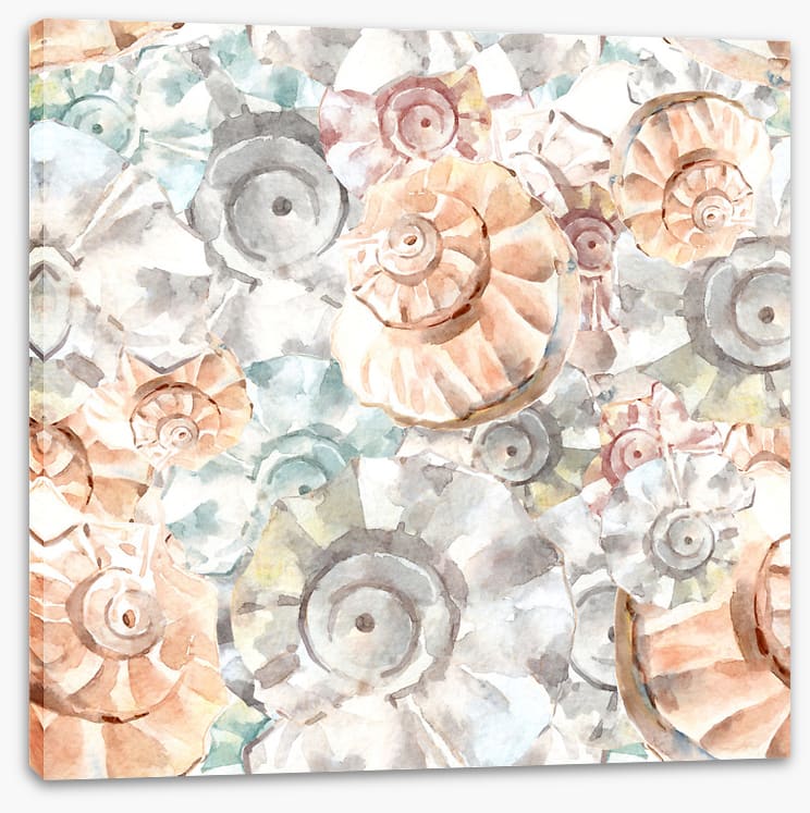 As soft as seashells