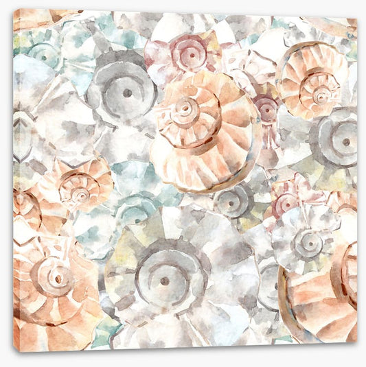 As soft as seashells