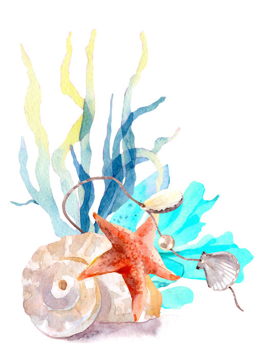 Pearl of the sea