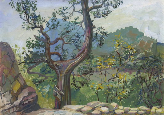 Beyond the bough