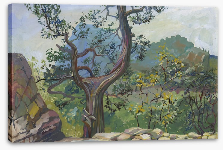 Beyond the bough
