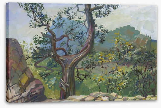 Beyond the bough