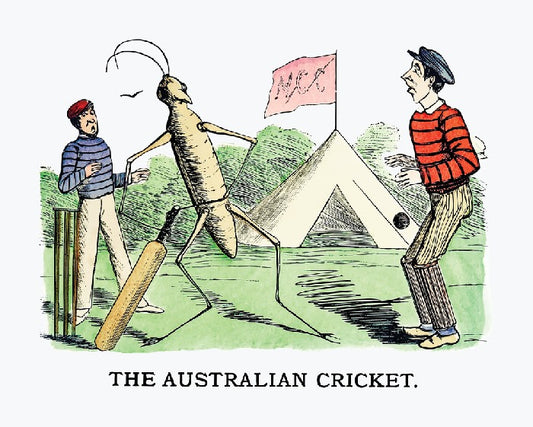 The Australian cricket