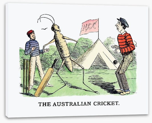 The Australian cricket