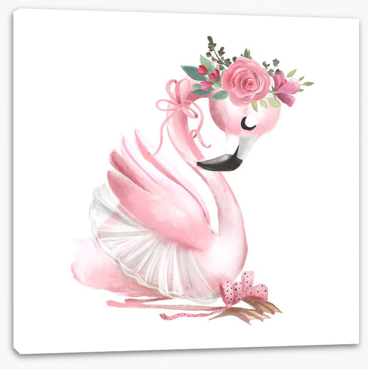 Baby flamingo ballet