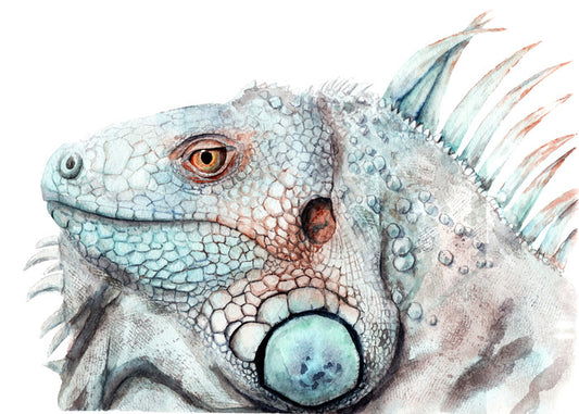 The lizard look