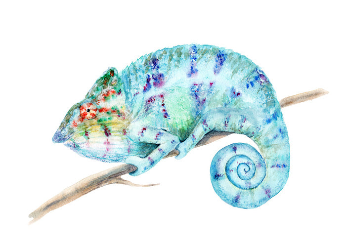 Karma chameleon