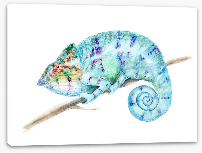 Karma chameleon