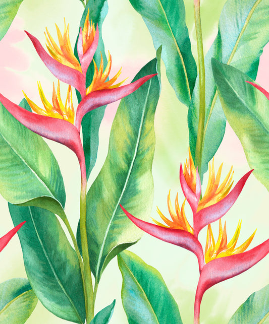 Balmy birds in paradise