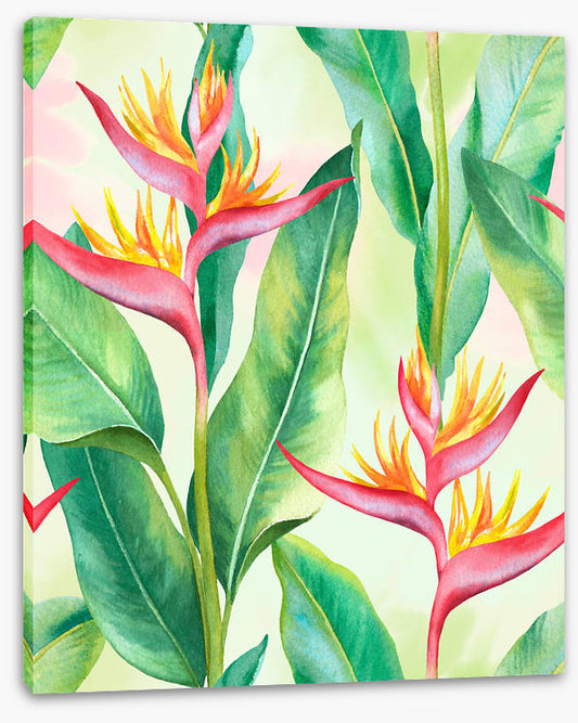 Balmy birds in paradise