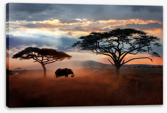 Serengeti dust silhouettes