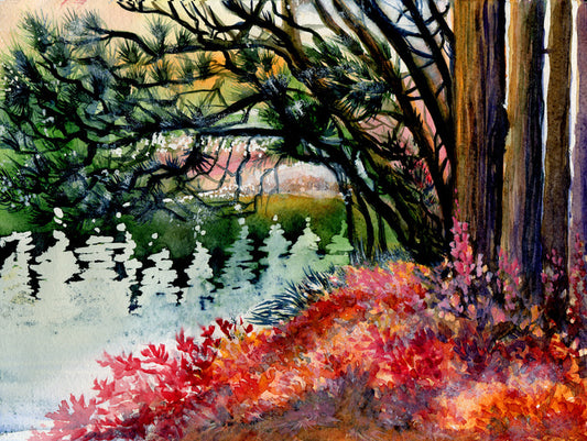 Down by the lake