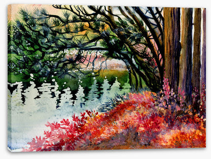 Down by the lake