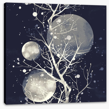 Three moons