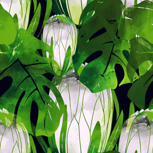 Monstera moonlight