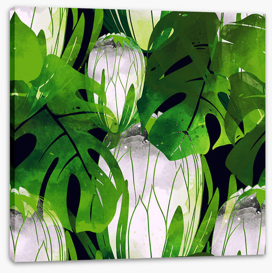 Monstera moonlight