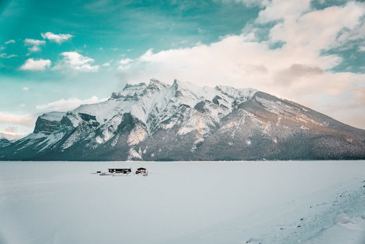 Alone for winter
