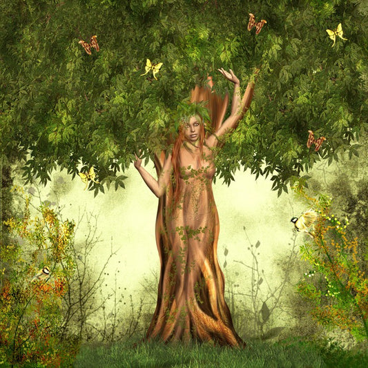 Fantasy