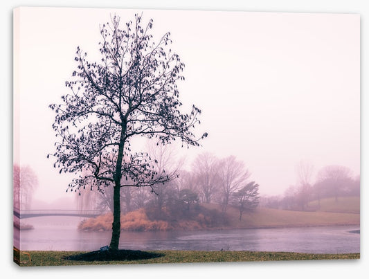 By the misty lake
