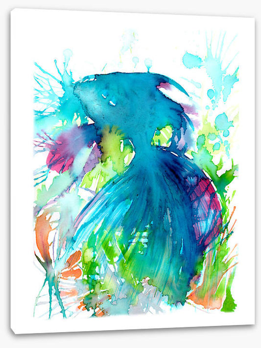 Aquaria