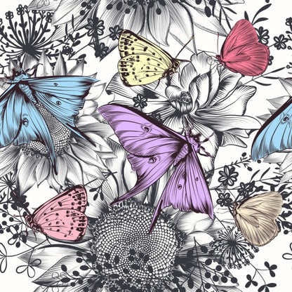 Butterflies