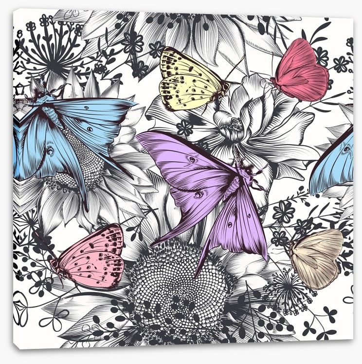 Butterflies