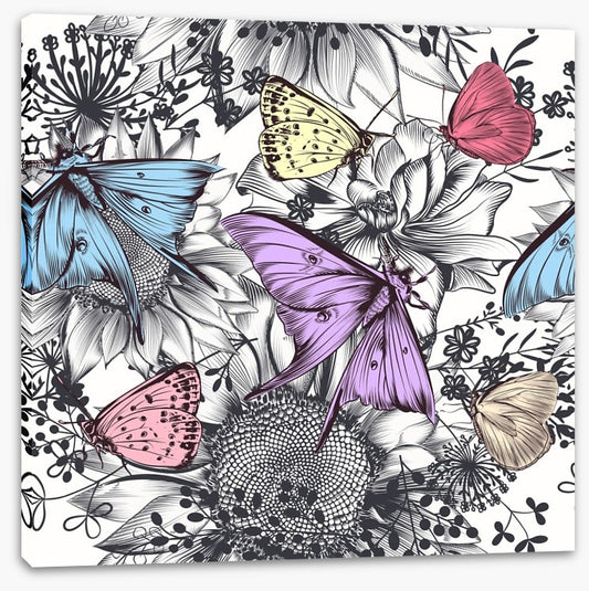 Butterflies