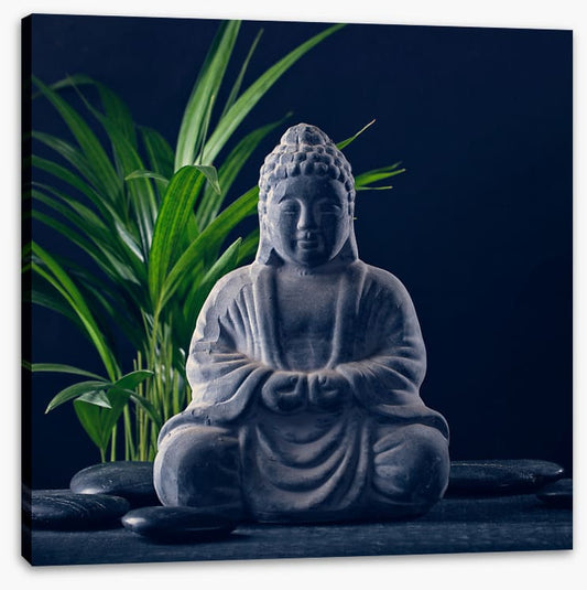 Midnight meditation