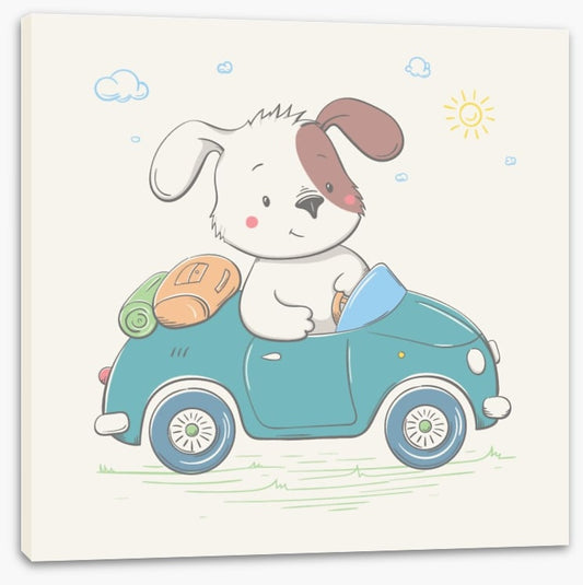 Puppy drives the car
