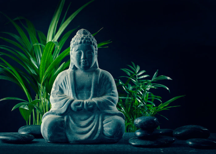 Mindful by moonlight