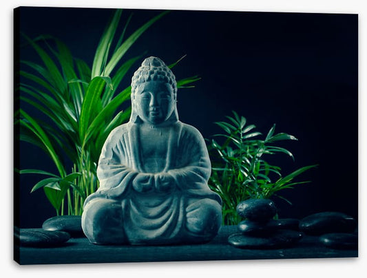 Mindful by moonlight