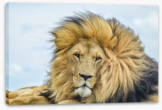 His Highness