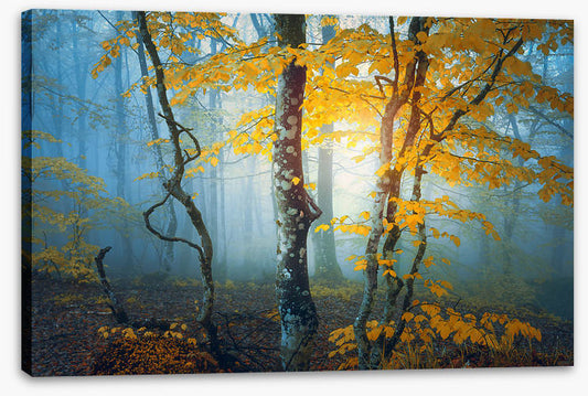 The last leaves
