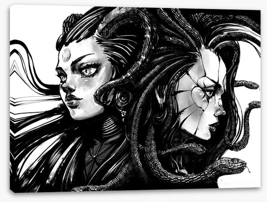 Twins of Medusa