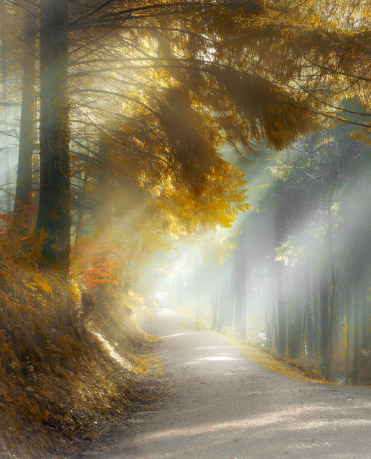 Through the sun rays