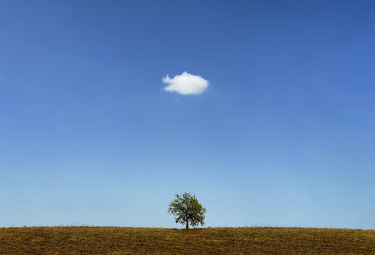 Below the cloud