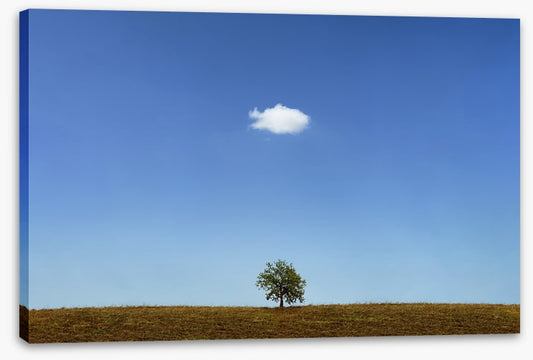 Below the cloud