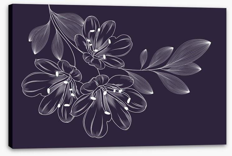 Lily trio flourish
