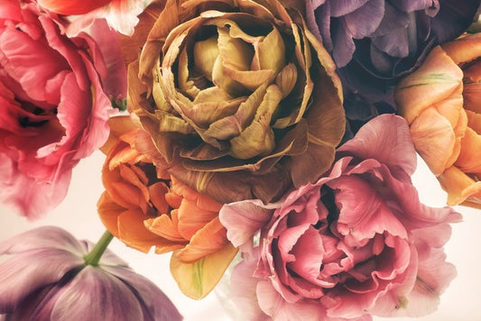 Tulipany