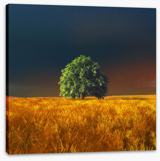 Alone in the rye