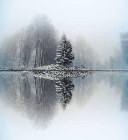Mirror lake fir