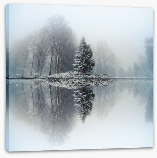 Mirror lake fir