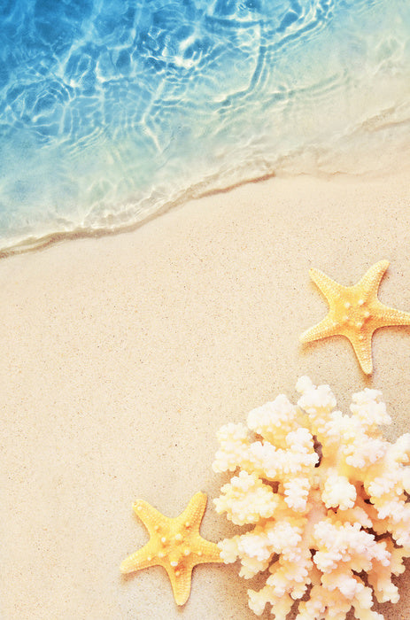 Yellow starfish sands